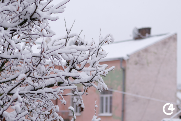C4 - Чернівці напередодні Різдва засипало снігом (фото)