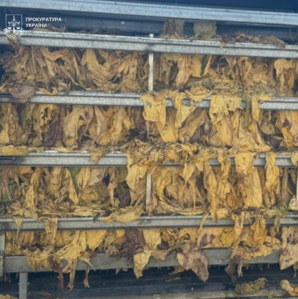 На Буковині до суду скеровано справу керівника агропідприємства за незаконний тютюновий "агробізнес" без ліцензії &raquo; ТВА