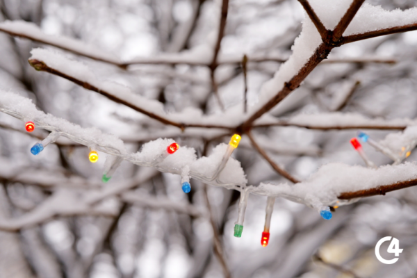 C4 - Якою буде погода на Буковині в перший день нового року