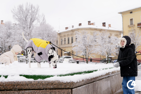 C4 - Різдвяна атмосфера в Чернівцях (фото)