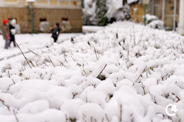 C4 - Чернівці напередодні Різдва засипало снігом (фото)
