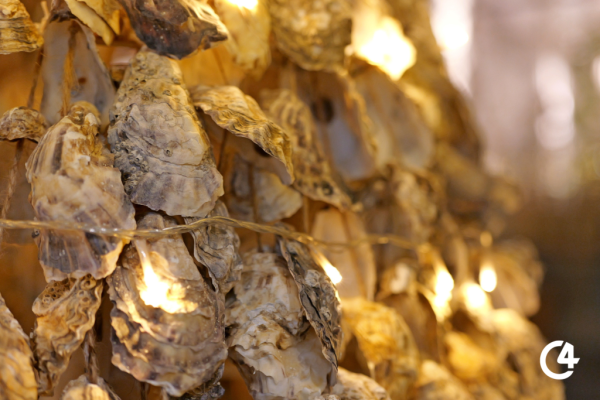 C4 - Справжній дух Різдва панує в Чернівцях (фотозвіт)