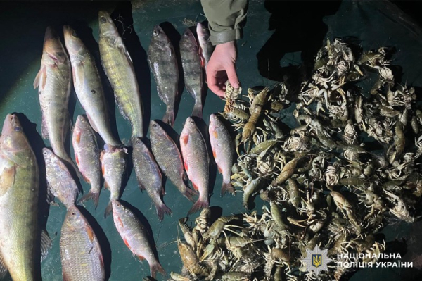 На Буковині судитимуть чоловіка за незаконний вилив риби майже на пів мільйона гривень &raquo; ТВА