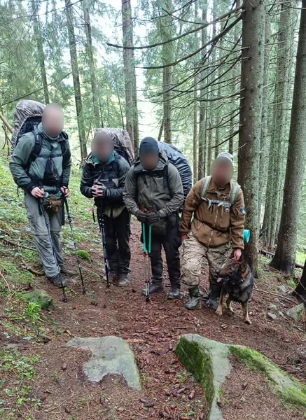 C4 - Прикордонний пес допоміг затримати трьох порушників на Буковинському кордоні